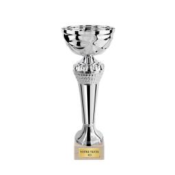 Coupe argent 19cm