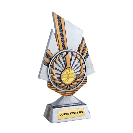 Trophée personnalisé résine<br>3 tailles disponibles
